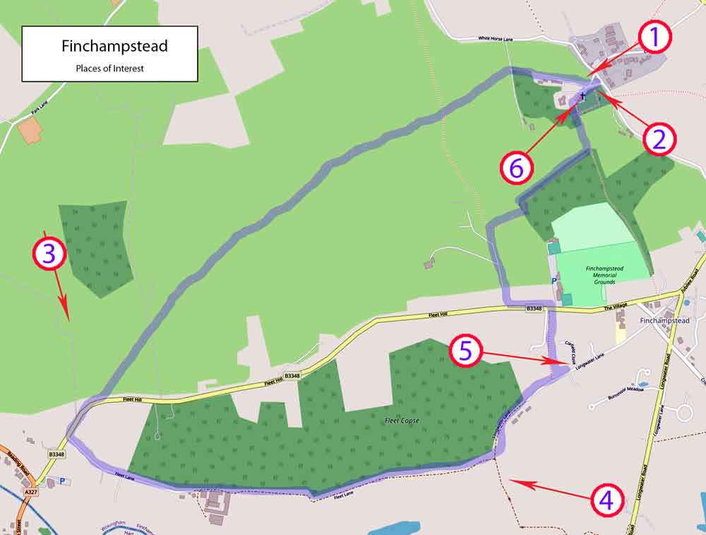 POI map of Binfield