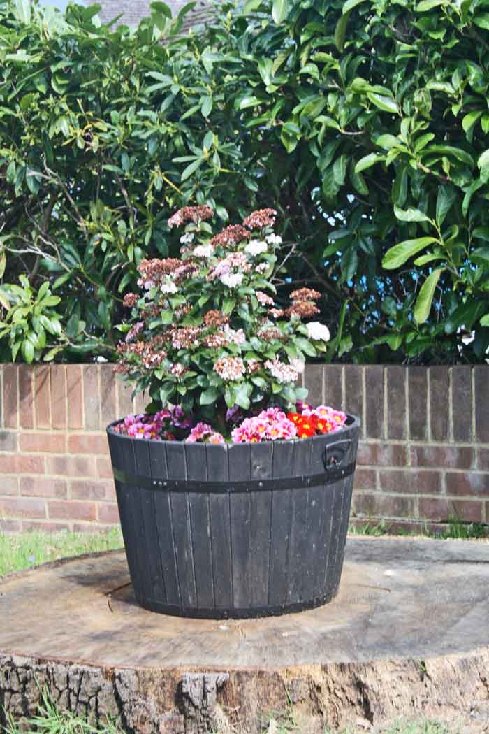 tub with flowers